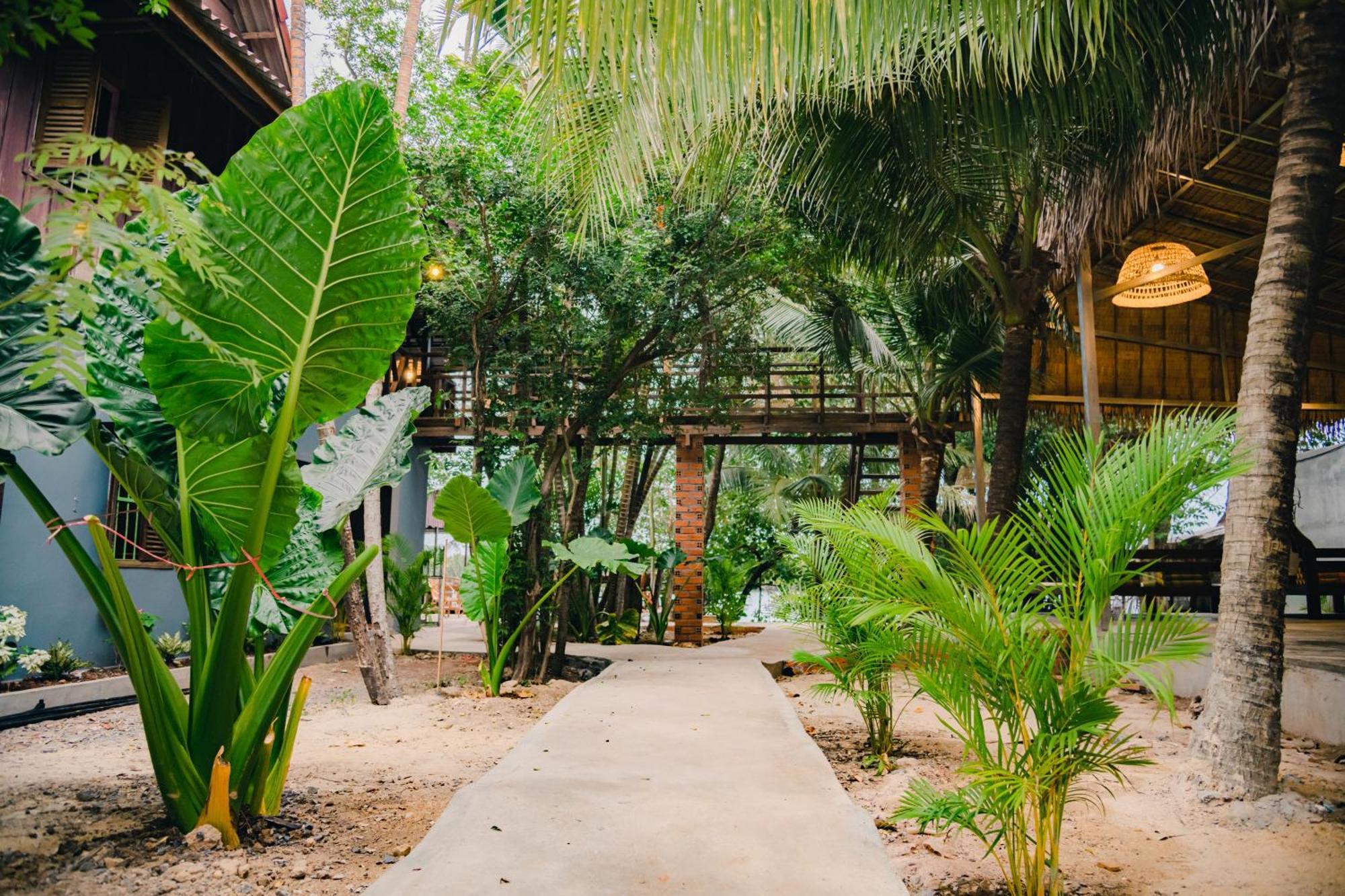 Banyan Tree Hostel Kampot Εξωτερικό φωτογραφία
