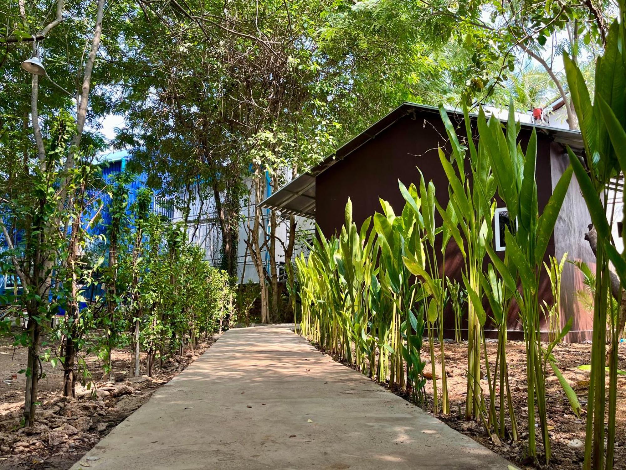 Banyan Tree Hostel Kampot Εξωτερικό φωτογραφία