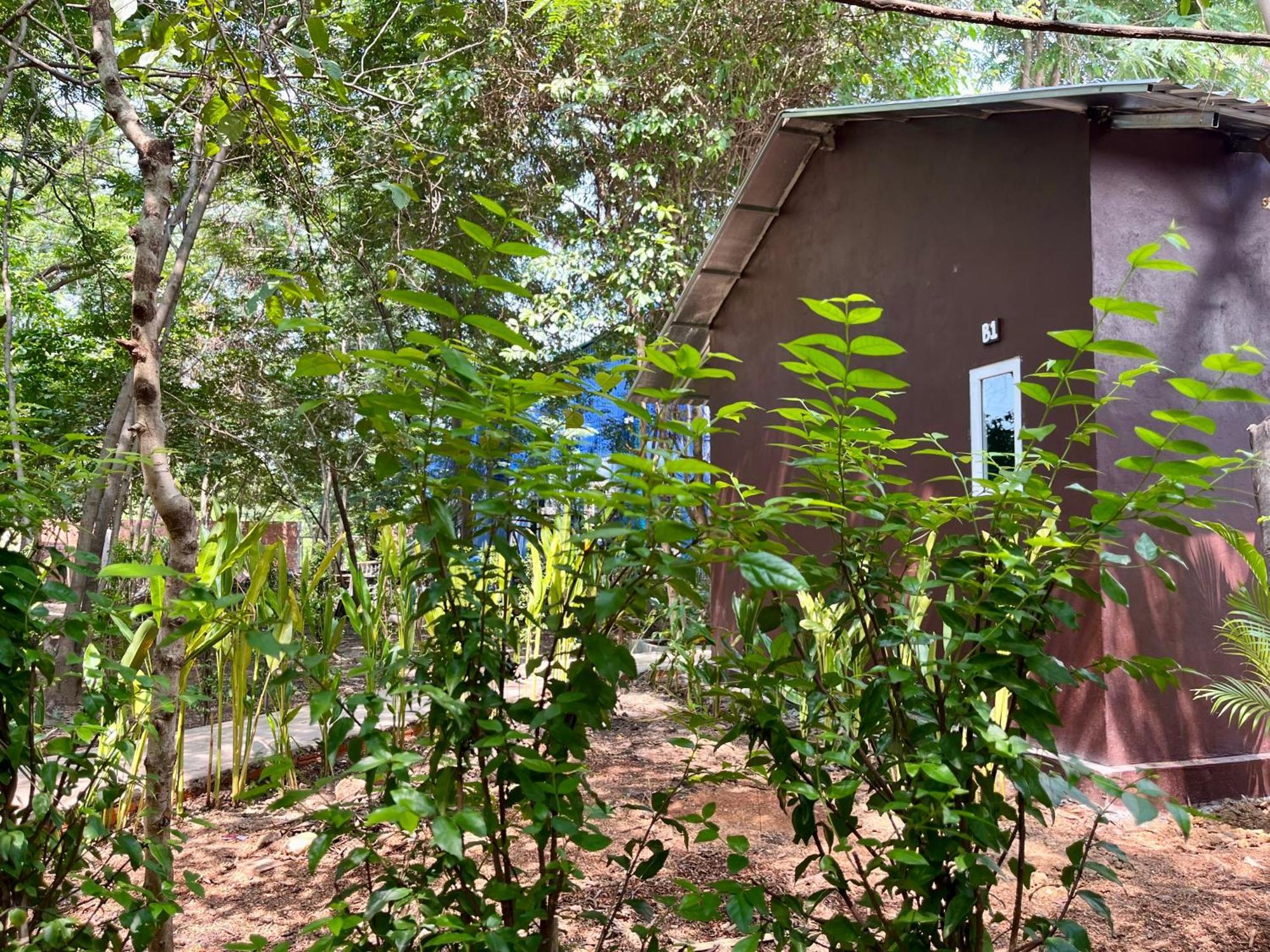Banyan Tree Hostel Kampot Εξωτερικό φωτογραφία