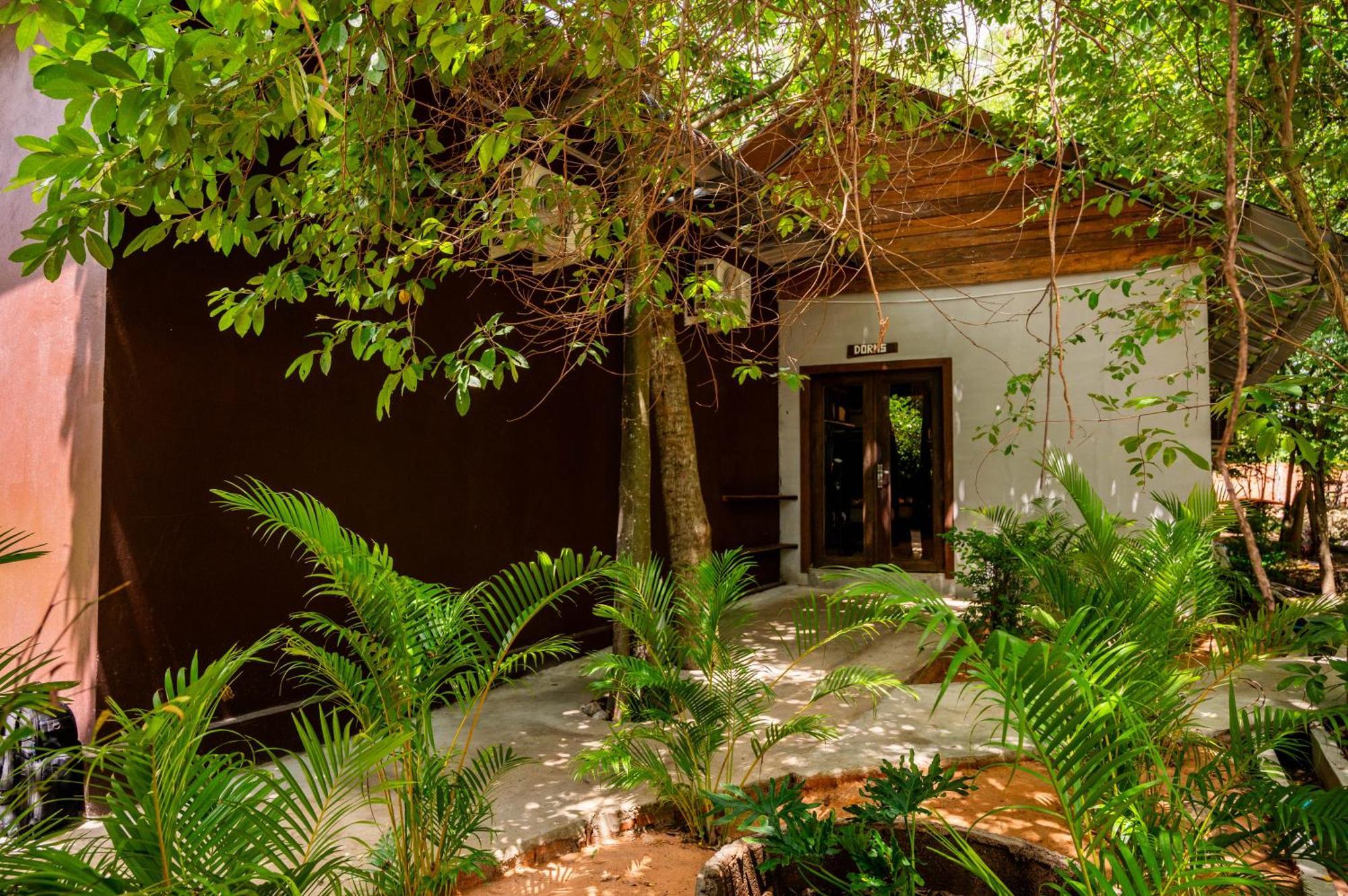 Banyan Tree Hostel Kampot Εξωτερικό φωτογραφία
