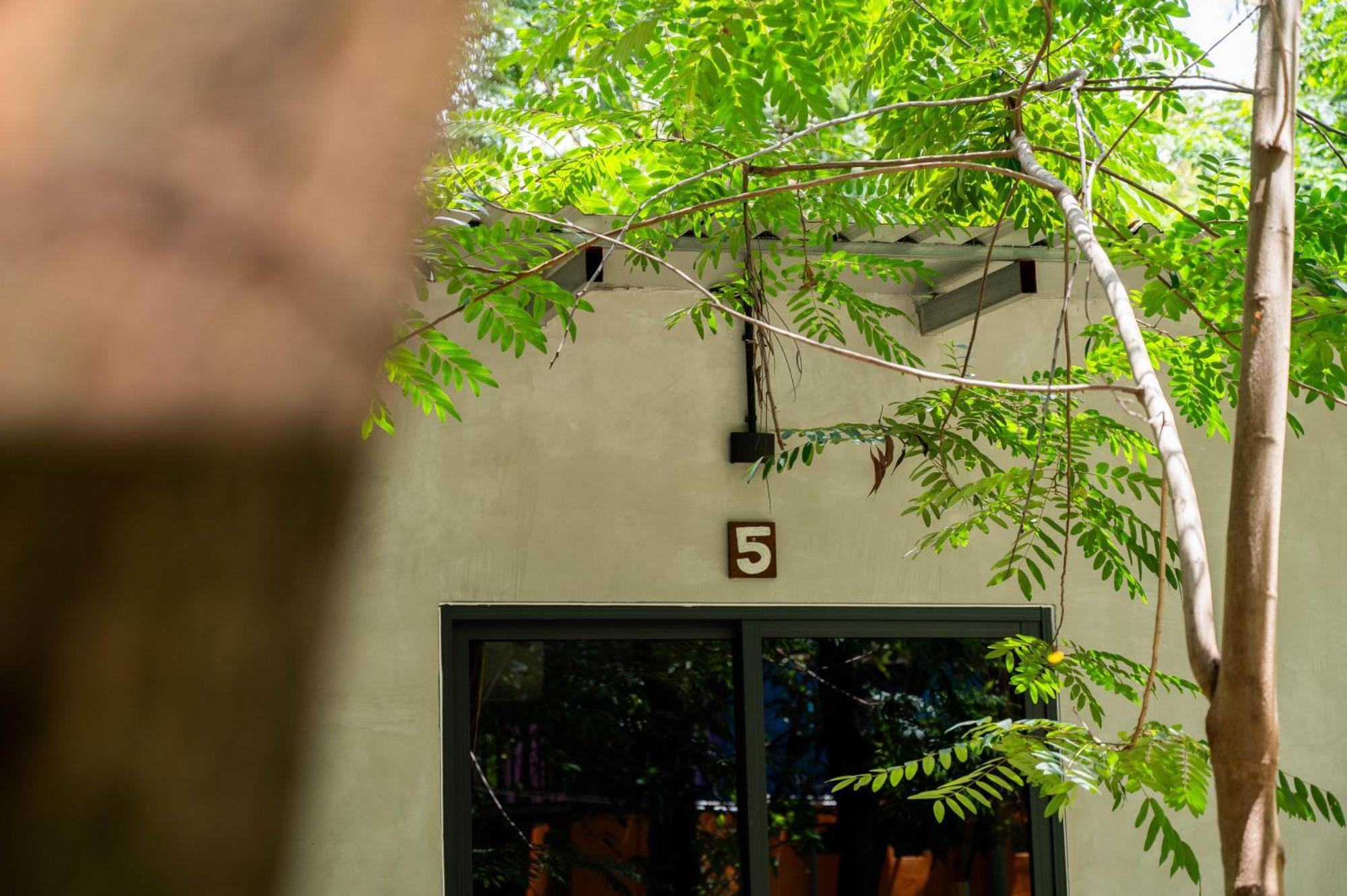 Banyan Tree Hostel Kampot Εξωτερικό φωτογραφία