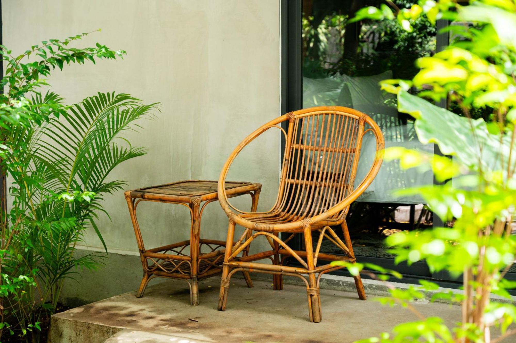 Banyan Tree Hostel Kampot Εξωτερικό φωτογραφία